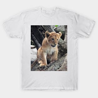 Lion Cub T-Shirt